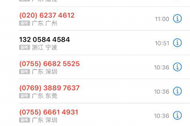 绥棱企业清欠服务